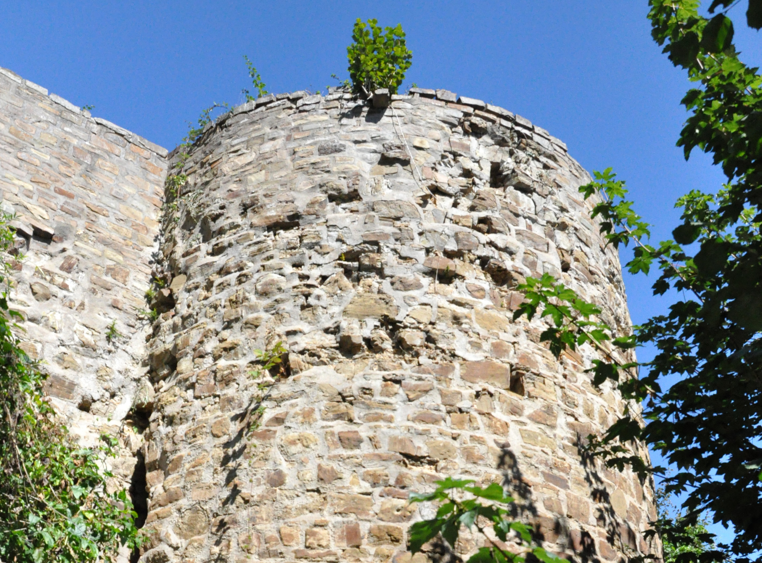 Stadtmauern_Stadt-Blankenberg_Fledermäuse